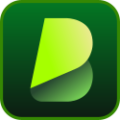 BlipCut Video Translator