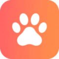 Pet Video